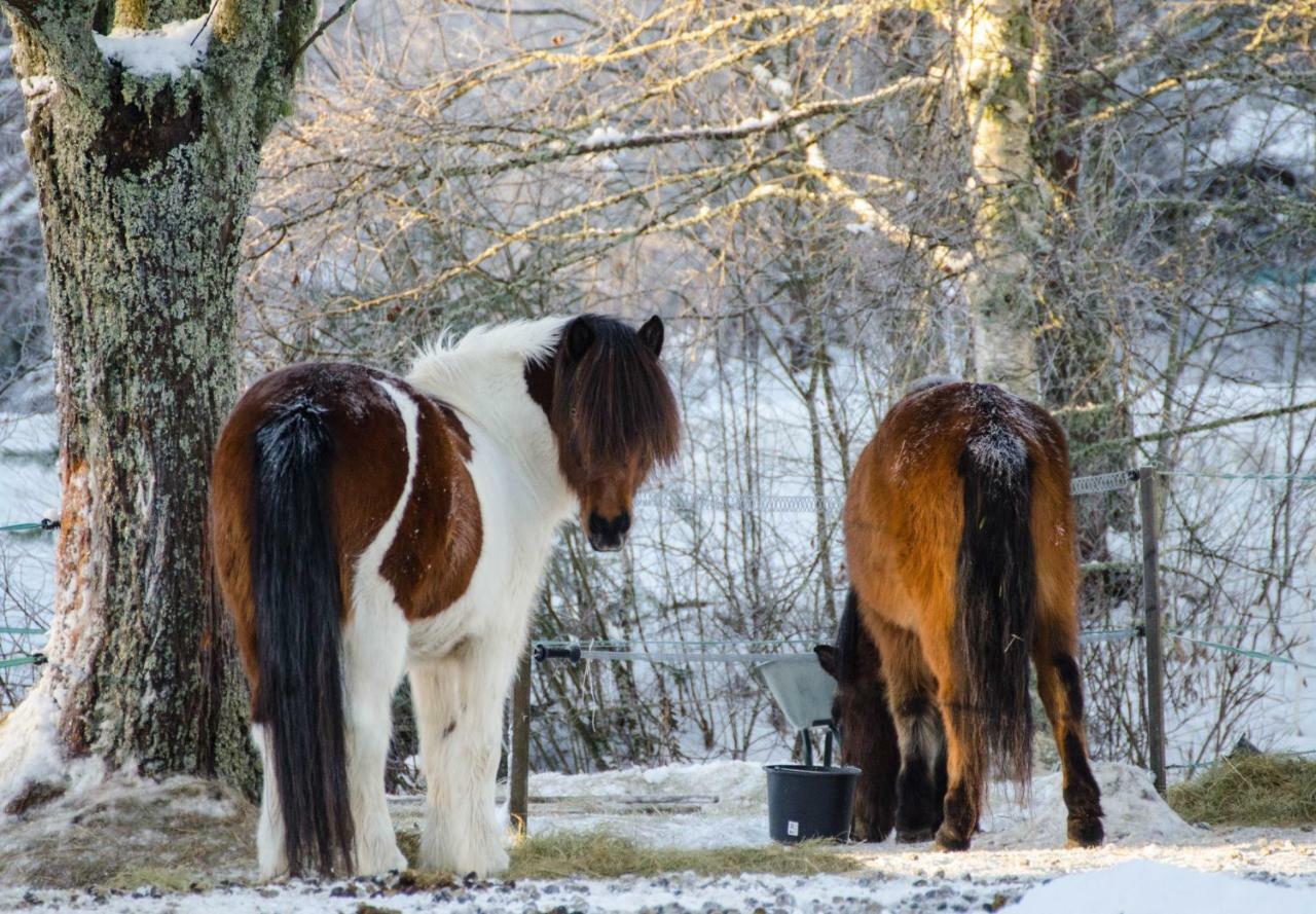 Vargheden B&B Och Traedgard มาลุง ภายนอก รูปภาพ